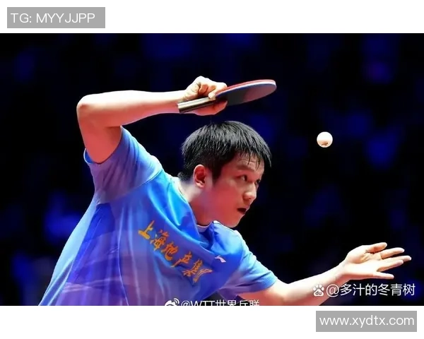 杭州世锦赛点评：乒乓球队展现强大实力与团队精神的精彩表现