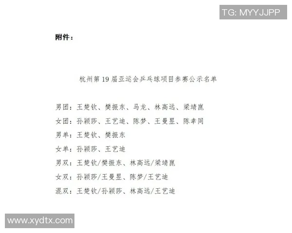 杭州乒乓球队反击战术解析与未来发展展望